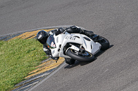 Advanced Group White Bikes